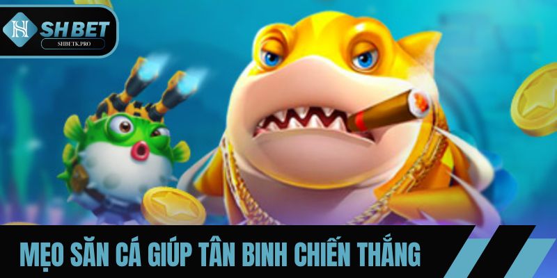 Chia sẻ mẹo săn cá giúp tân binh giành chiến thắng ấn tượng